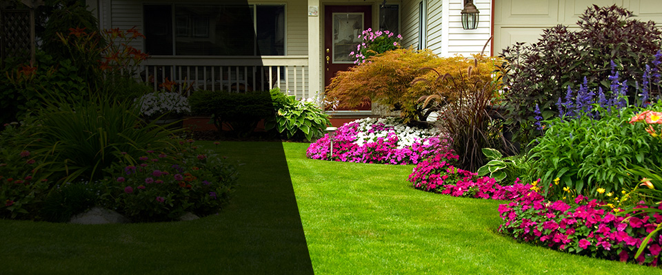 Loris Landscapers