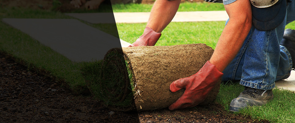Loris Landscapers